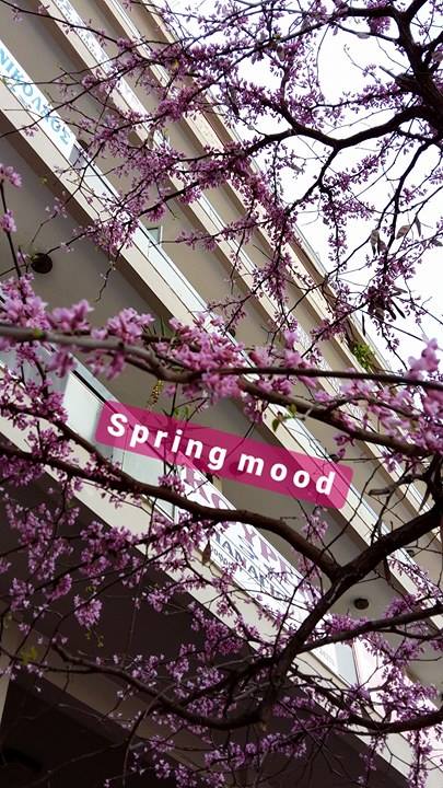 © Γιώργος Αλεξόπουλος / Αγρίνιο © Γιώργος Αλεξόπουλος / Αγρίνιο