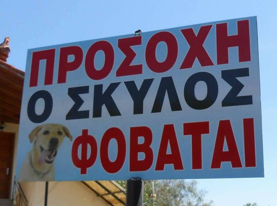 Τα YOLO της Παρασκευής Τα YOLO της Παρασκευής