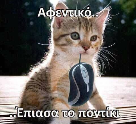 Τα YOLO του Σαββάτου Τα YOLO του Σαββάτου