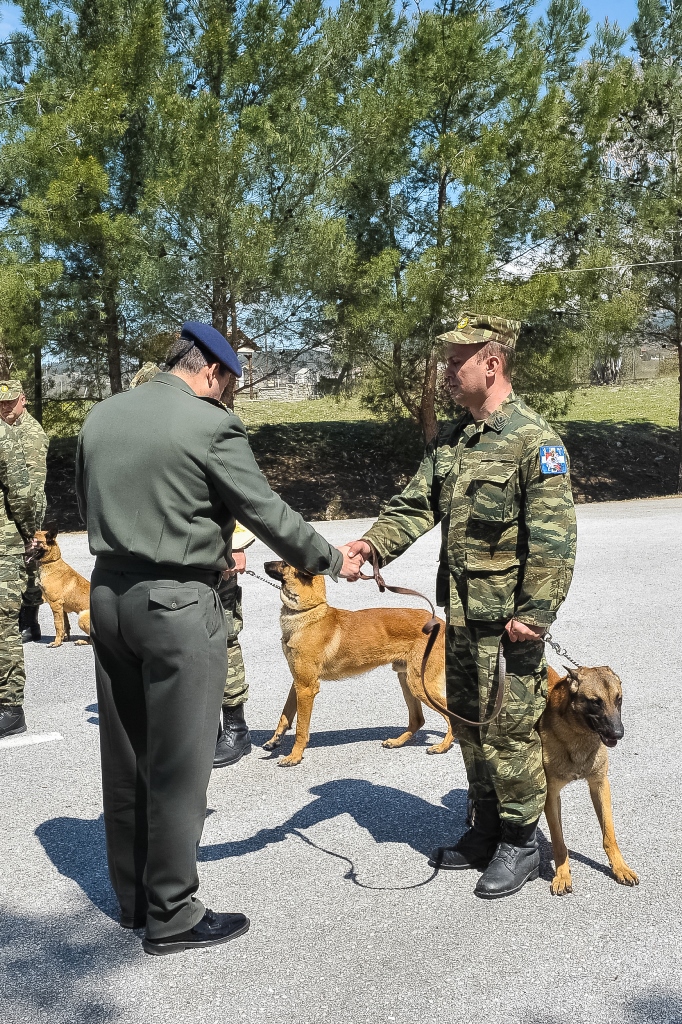 Αυτή η υπέροχη σκύλα βραβεύτηκε από τον Στρατό Ξηράς για την προσφορά της (εικόνες)