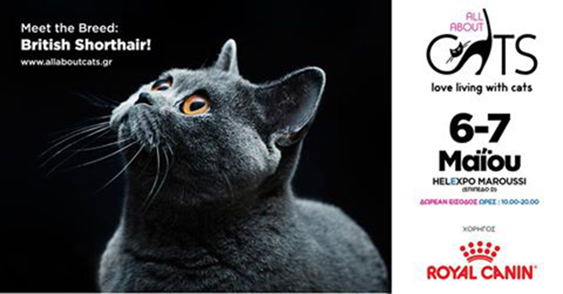 «All About Cats 2017» στις 6 και 7 Μαΐου στο «Helexpo Maroussi»