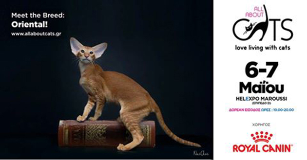 «All About Cats 2017» στις 6 και 7 Μαΐου στο «Helexpo Maroussi»