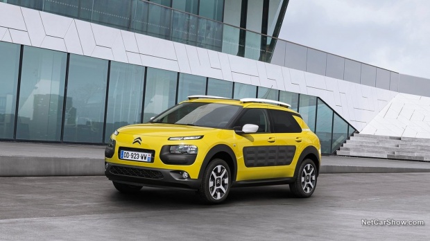 C4 Cactus