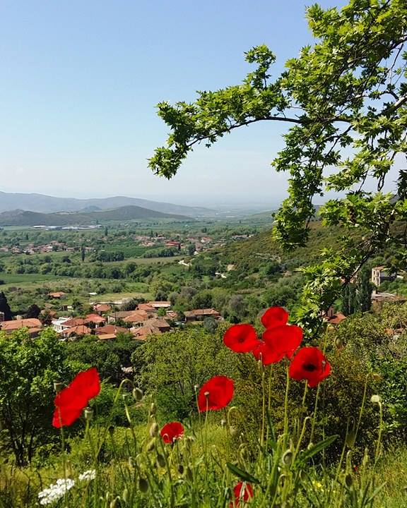 © Gina Gortsila / Μεταξοχώρι Λάρισας