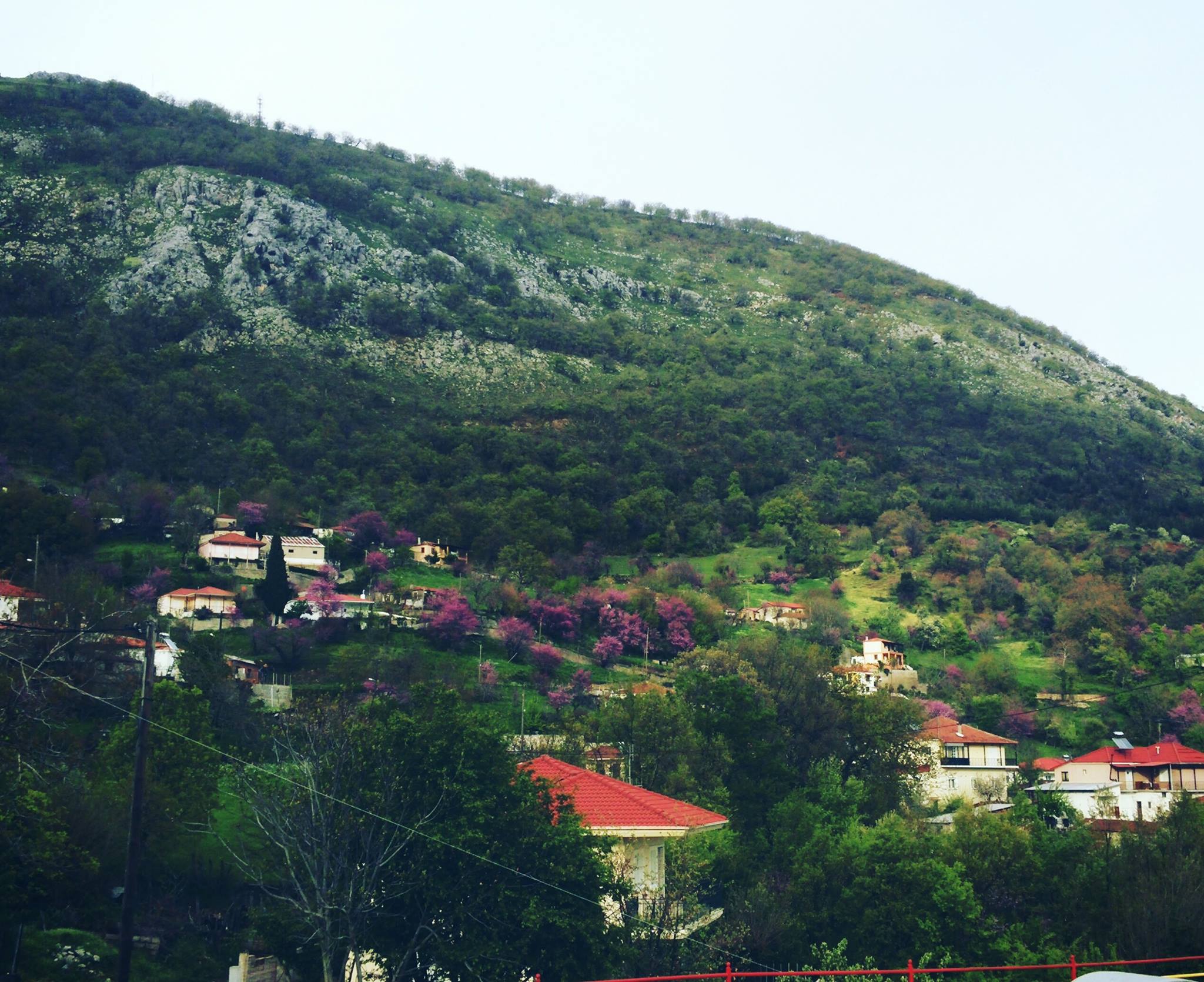 Σαν να μπαινει άνοιξη! Φύση! © Σοφία Πλιάκου από Πορτή Καρδίτσας