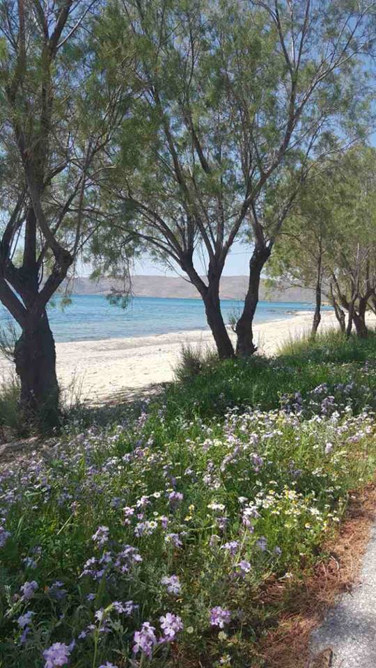 © Nektaria Peroylaki / Κάρυστος