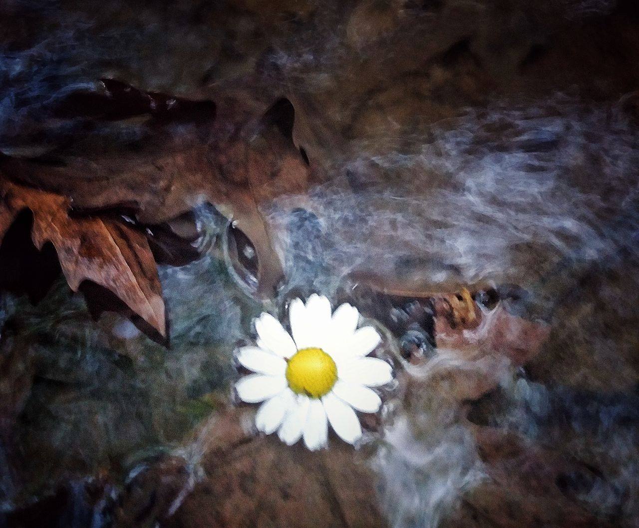 © Chara Papastefanaki / Νεάπολη Λασιθίου