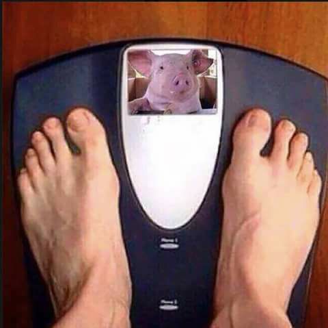 Τα YOLO της Δευτέρας Τα YOLO της Δευτέρας