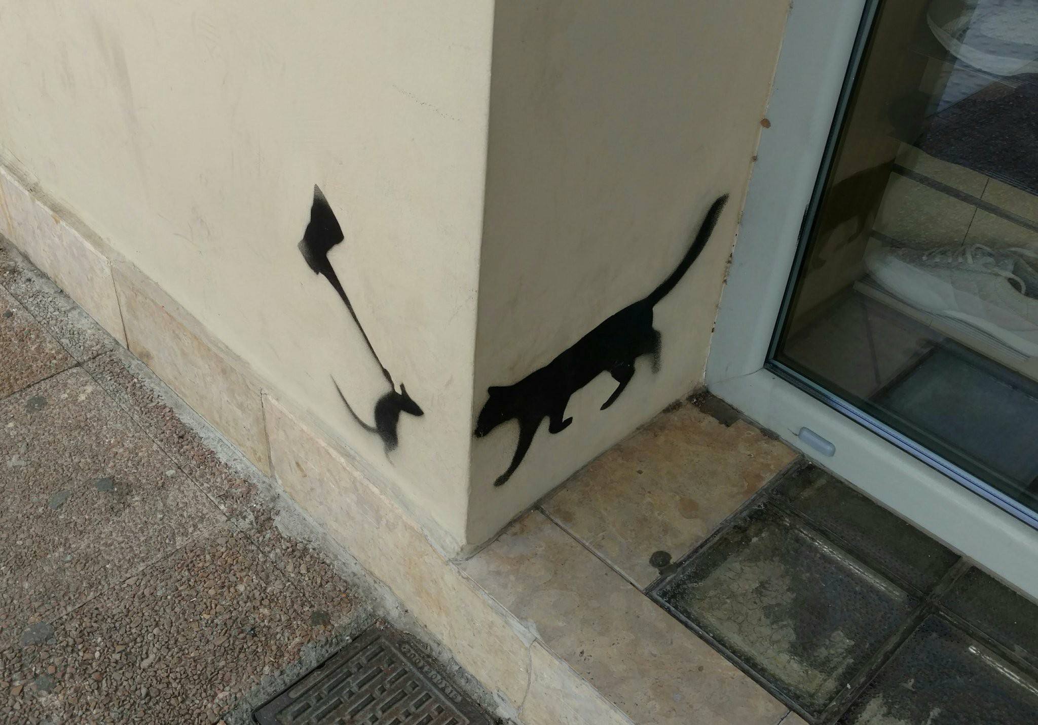 Τα YOLO της Τρίτης Τα YOLO της Τρίτης