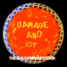 The Jesus and Mary Chain - Damage and Joy