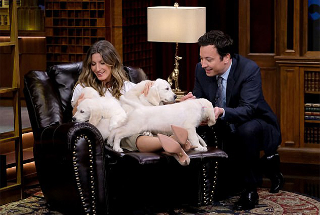  Τα κουτάβια λατρεύουν την αγκαλιά της 