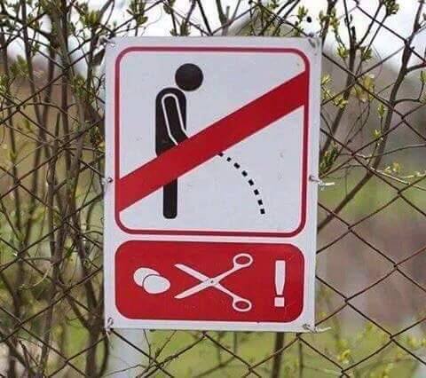 Τα YOLO της Κυριακής