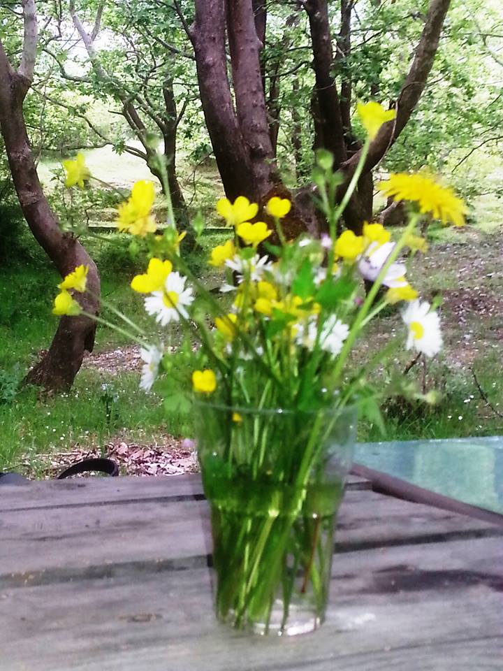 © Φρόσω Τσιμεντερίδου / Γαλήνη, μόνο!