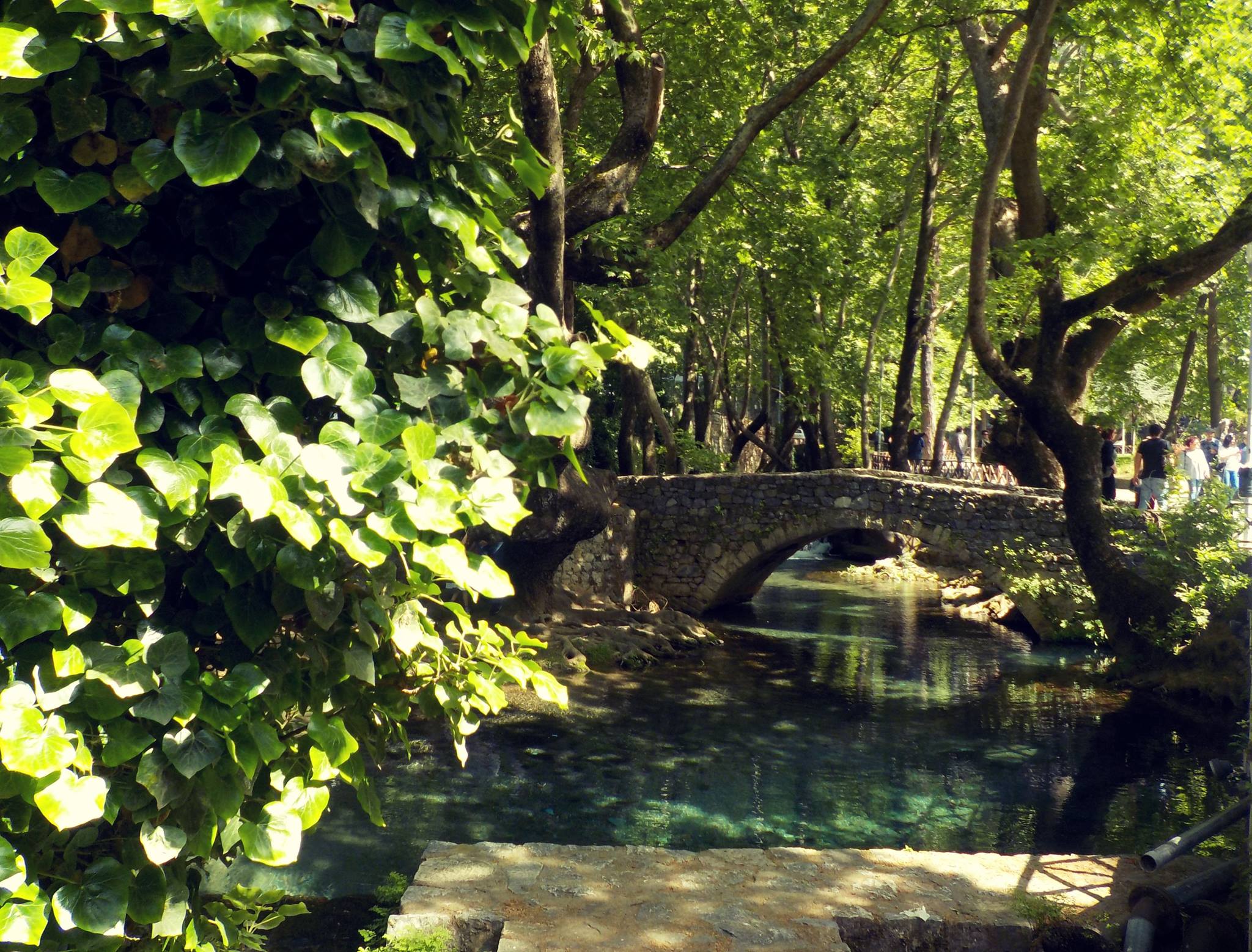  © Margarita Koug / Λιβαδειά