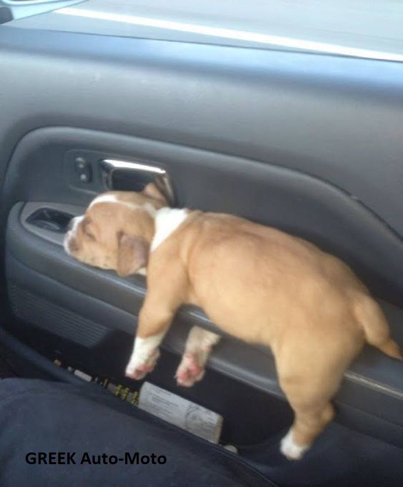 Τα YOLO της Τρίτης