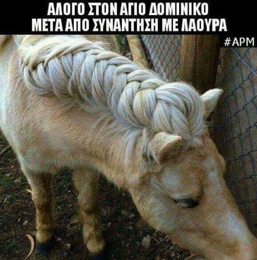 Τα YOLO της Τετάρτης Τα YOLO της Τετάρτης