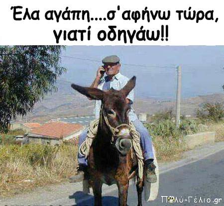 Τα YOLO της Τετάρτης Τα YOLO της Τετάρτης