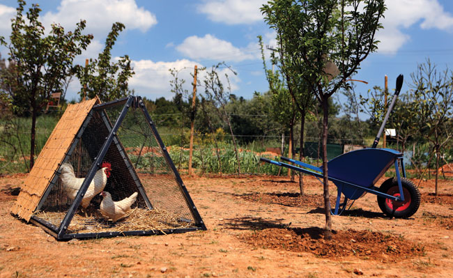 Το Μαρούσι απέκτησε λαχανόκηπο