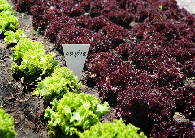 Κήποι and the city