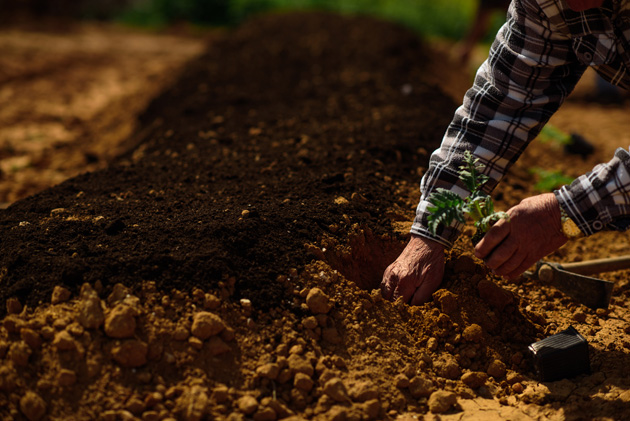 Κήποι and the city