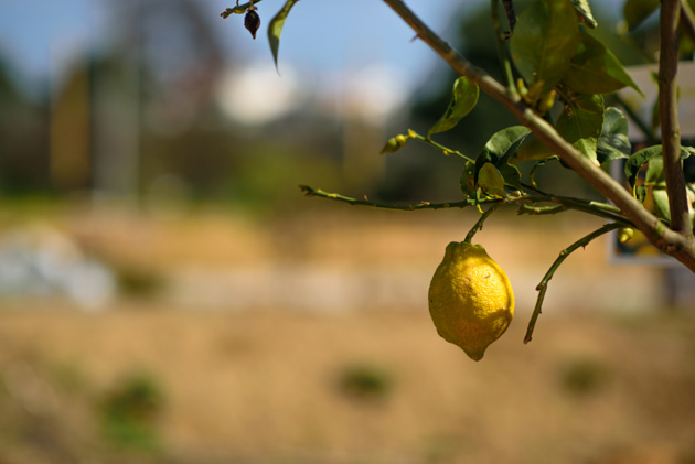 Κήποι and the city