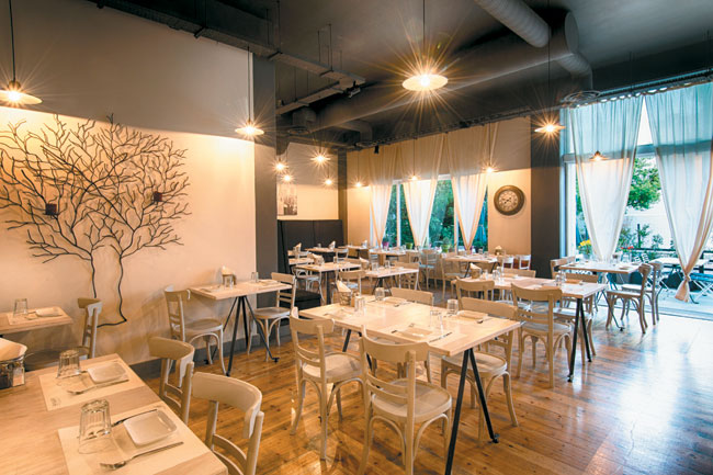 Θυμάρι Θυμάρι