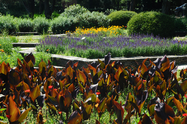 Βοτανικός Κήπος Ιουλίας και Αλεξάνδρου Διομήδους Βόλτα στο Χαϊδάρι, Βοτανικός Κήπος Ιουλίας και Αλεξάνδρου Διομήδους