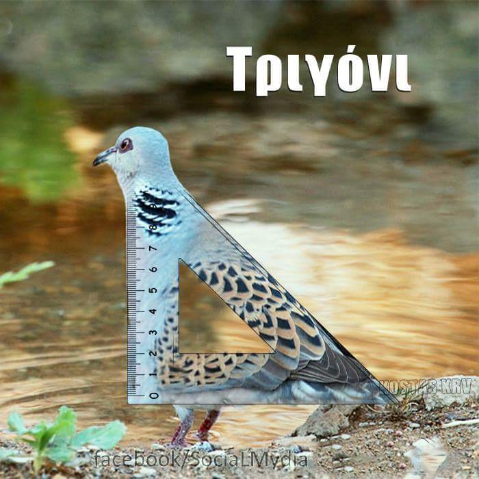 Τα YOLO της Πέμπτης