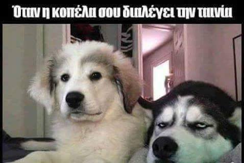 Τα YOLO της Πέμπτης