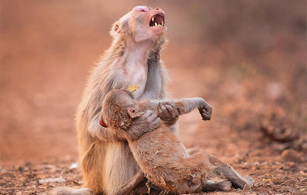 Είναι στη φύση της! Ο πόνος και η αγωνία της μητέρας για το παιδί της Είναι στη φύση της! Ο πόνος και η αγωνία της μητέρας για το παιδί της