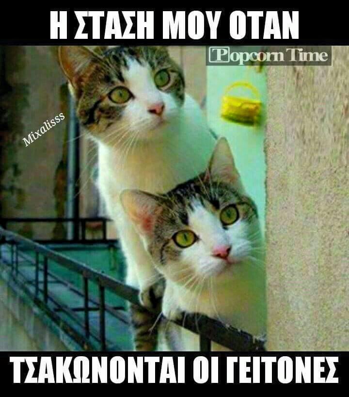 Τα YOLO της Παρασκευής Τα YOLO της Παρασκευής