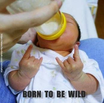 Τα YOLO του Σαββάτου Τα YOLO του Σαββάτου