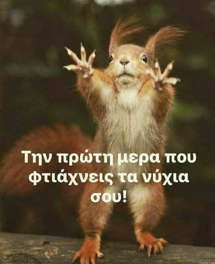 Τα YOLO της Τρίτης Τα YOLO της Τρίτης