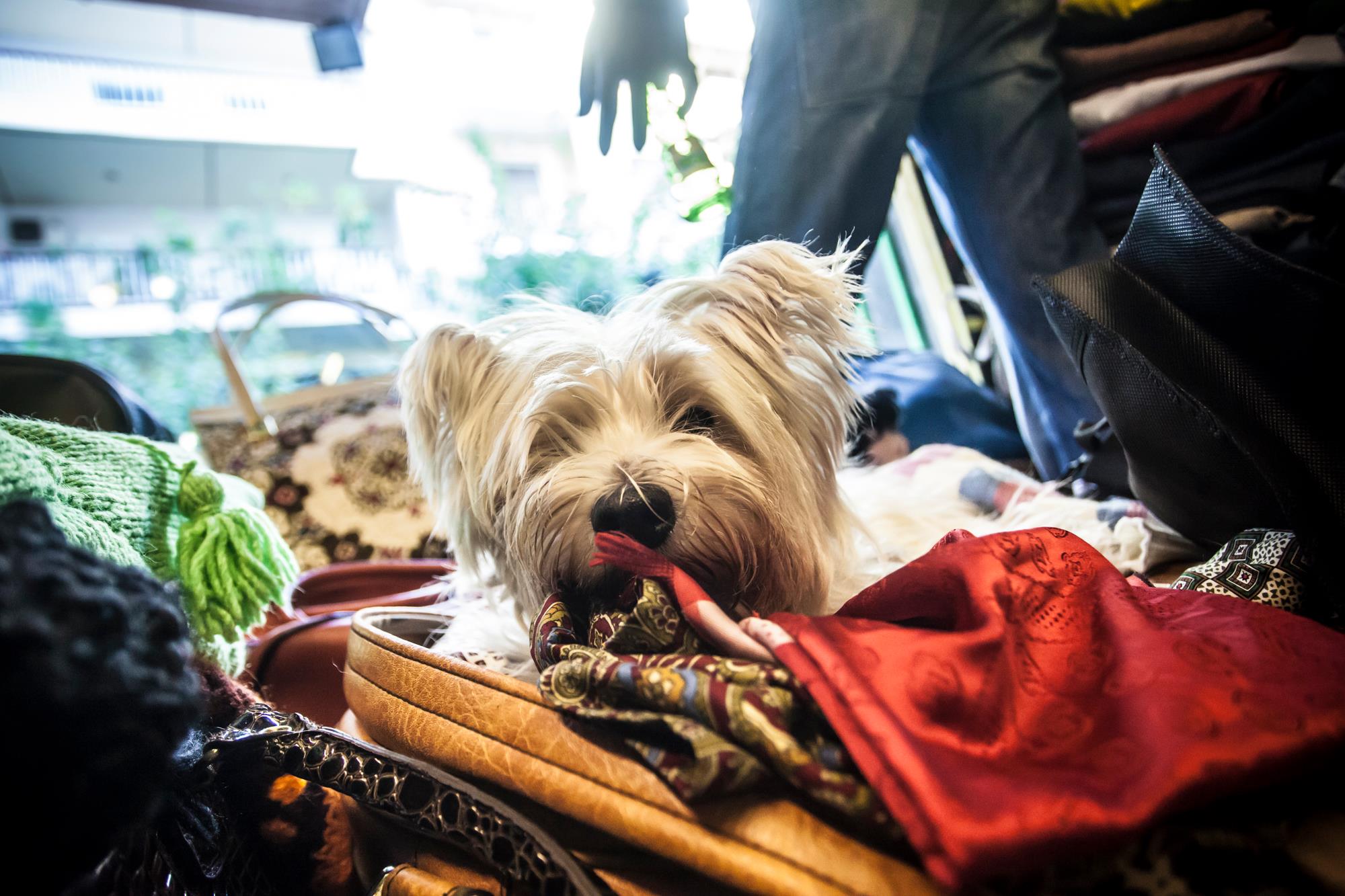 Yesterday's bread Yesterday's bread
