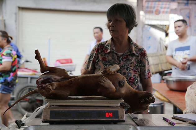 Φεστιβάλ Γιουλίν Φεστιβάλ Γιουλίν