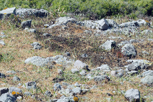 Δύσκολη κατάσταση βιώνουν οι 270 κάτοικοι Δύσκολη κατάσταση βιώνουν οι 270 κάτοικοι