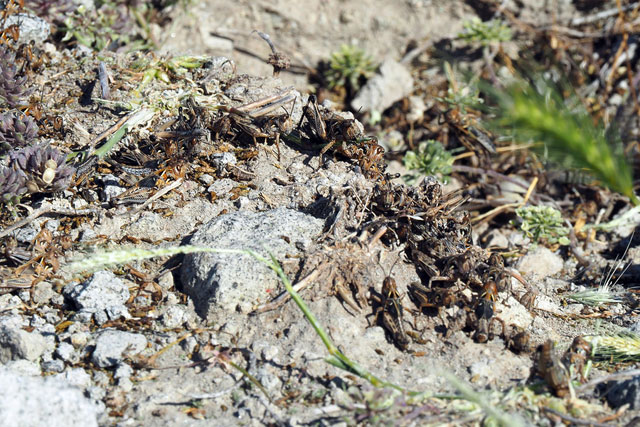 Δύσκολη κατάσταση βιώνουν οι 270 κάτοικοι Δύσκολη κατάσταση βιώνουν οι 270 κάτοικοι