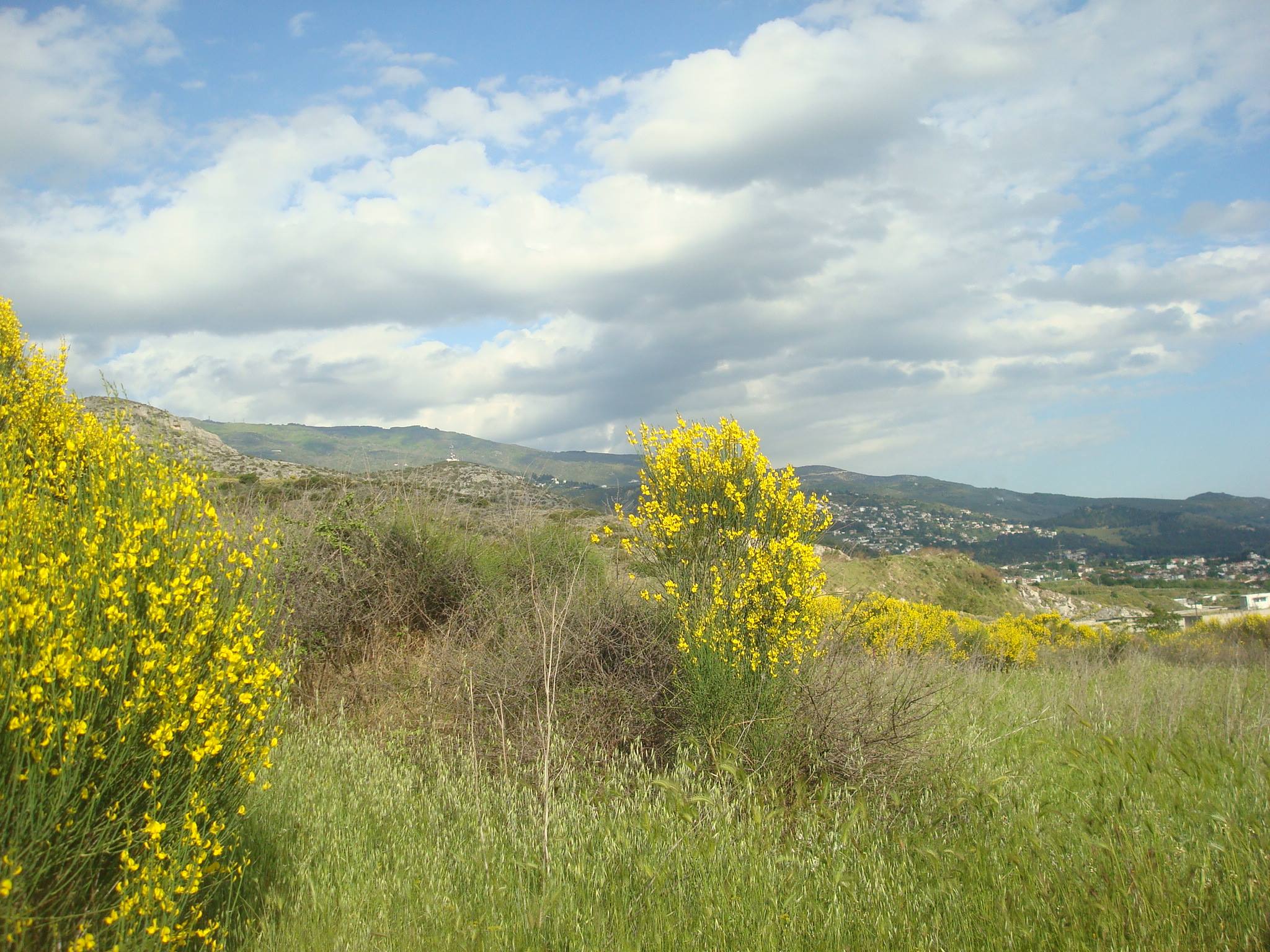 © ρουλα μουχτουρη / Πήλιο