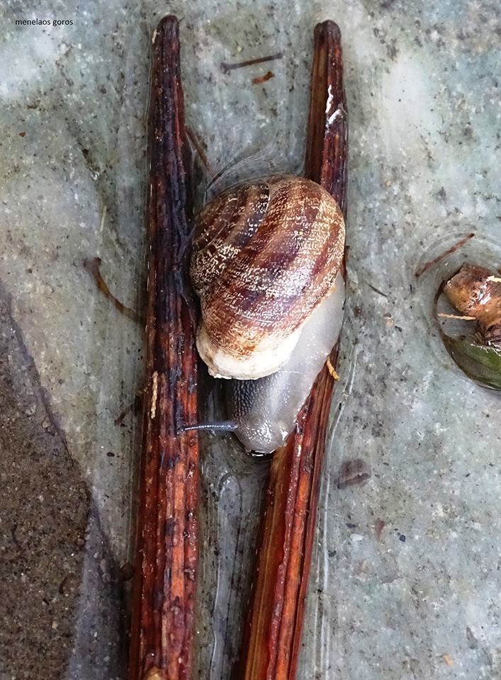 © Menelaos Goros / Κάπου υπάρχει μια σανίδα σωτηρίας