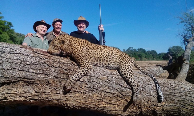 Κυνηγός άγριων ζώων Κυνηγός άγριων ζώων