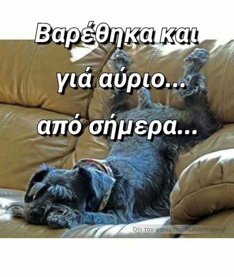 Τα YOLO της Τρίτης Τα YOLO της Τρίτης