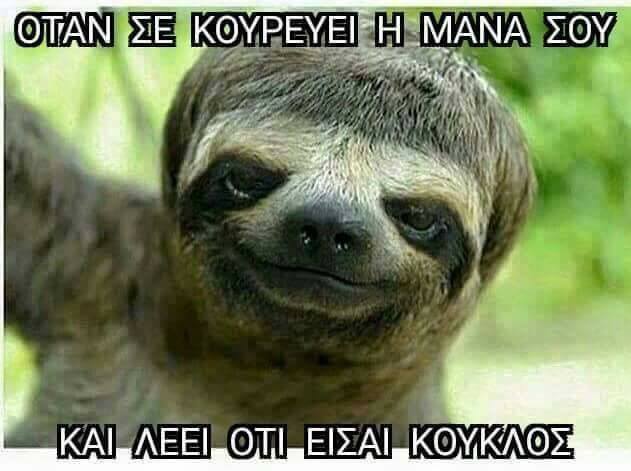 Τα YOLO της Πέμπτης