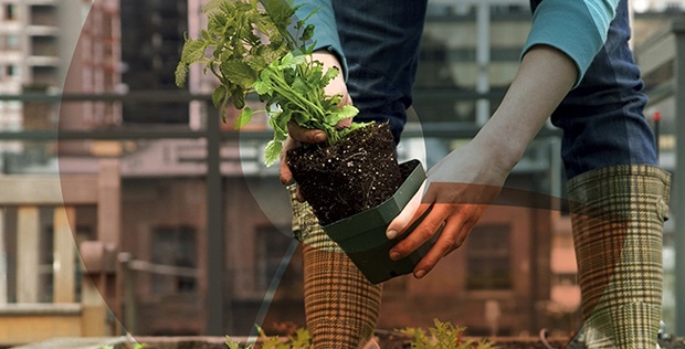 Αναθεωρώντας την ελληνική γεωργία - Η αστική γεωργία