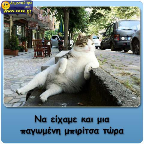 Τα YOLO του Σαββάτου