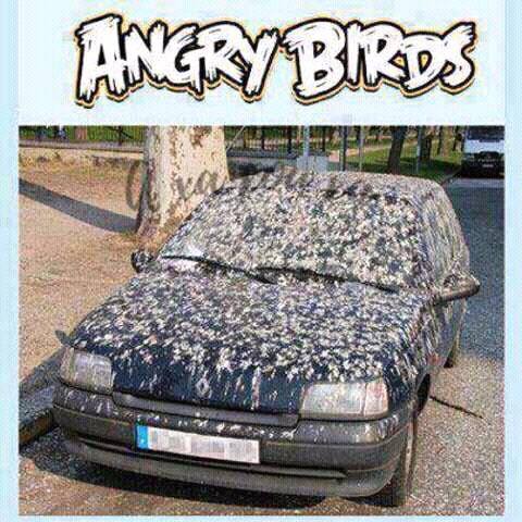 Τα YOLO του Σαββάτου