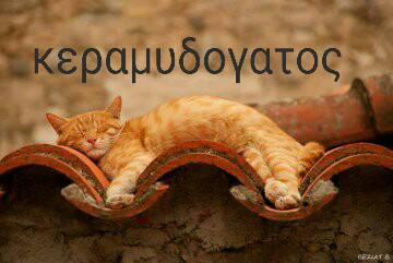 Τα YOLO της Κυριακής