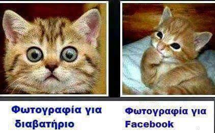 Τα YOLO της Δευτέρας