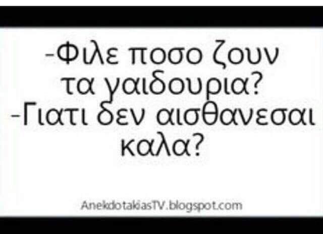 Τα YOLO της Τρίτης