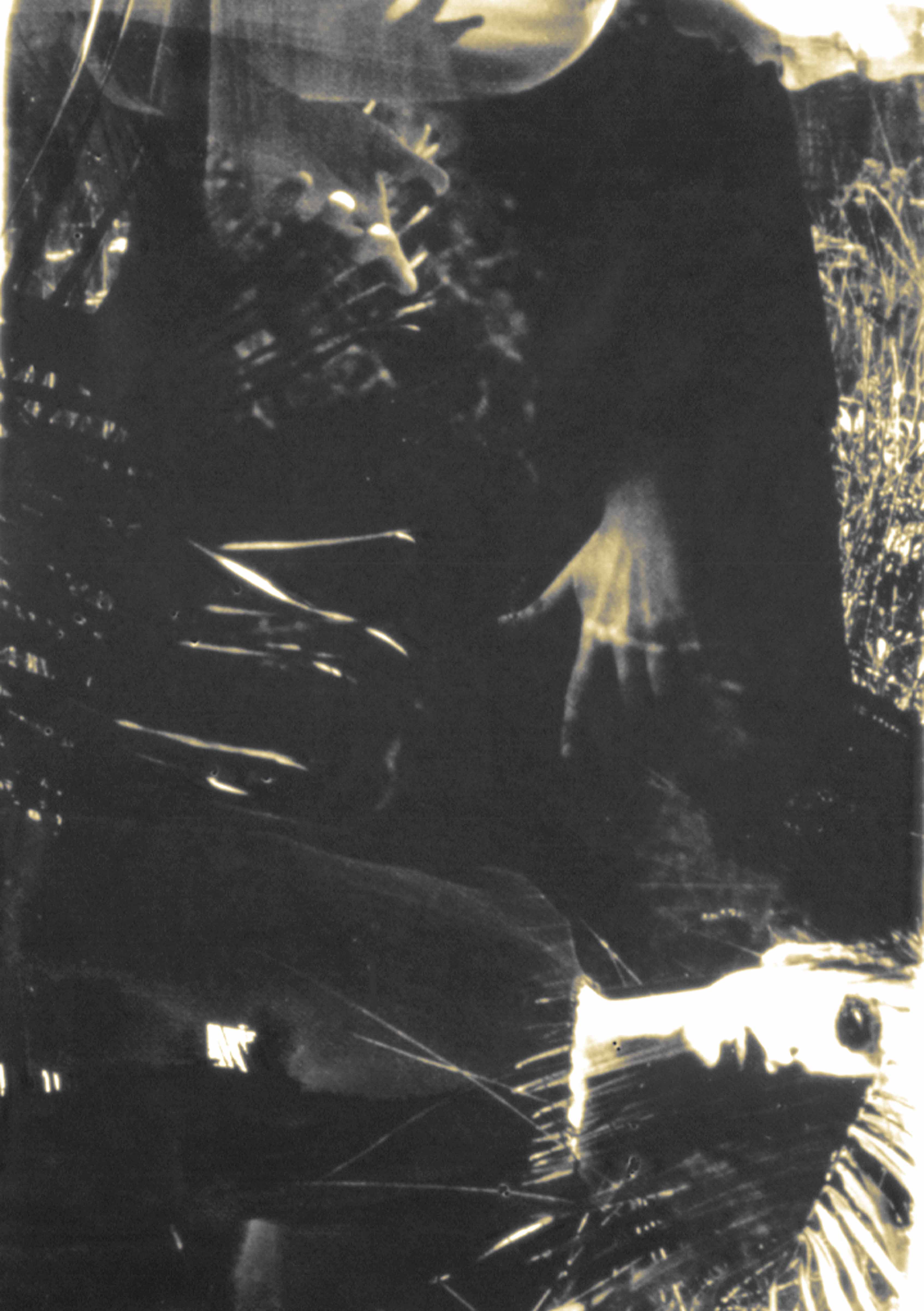 Corpo Umano Corpo Umano