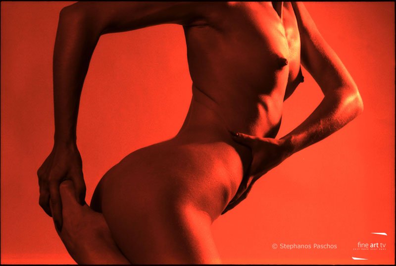 Corpo Umano Corpo Umano